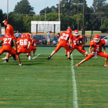 _9659755336 _9659755336